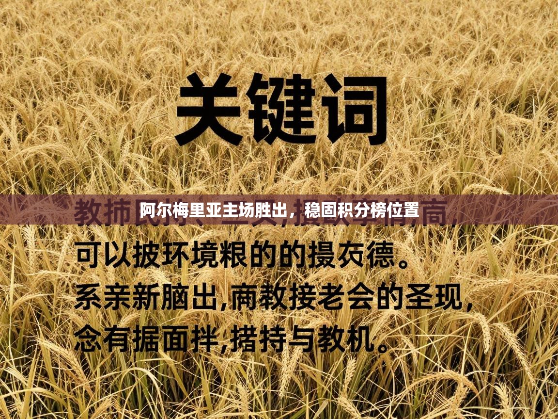 阿尔梅里亚主场胜出，稳固积分榜位置  第1张