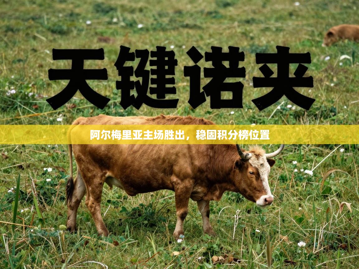 阿尔梅里亚主场胜出，稳固积分榜位置  第2张