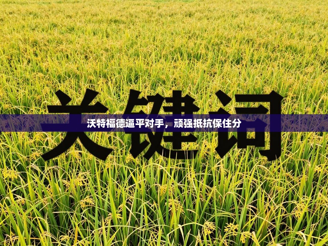 沃特福德逼平对手，顽强抵抗保住分  第2张